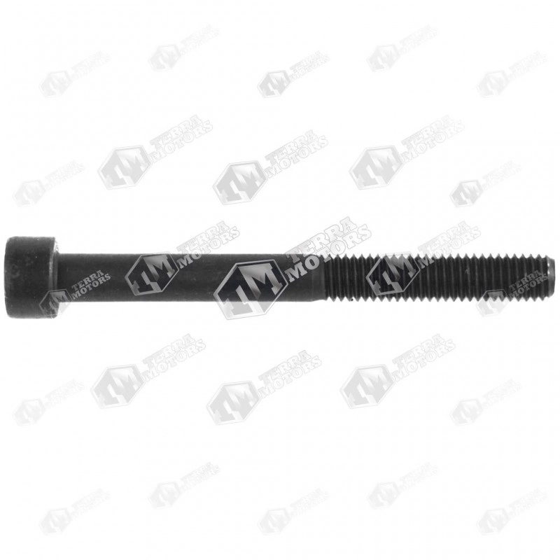 Prezon toba drujba Lungime 55mm